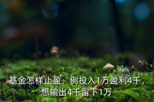 基金怎樣止盈，例投入1萬盈利4千，想輸出4千留下1萬