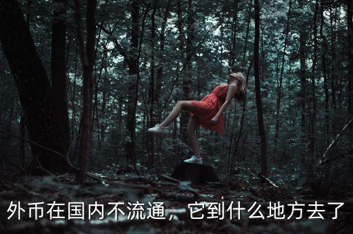 外幣在國內(nèi)不流通，它到什么地方去了