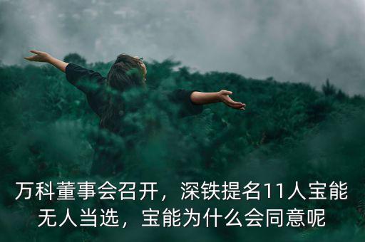 萬(wàn)科董事會(huì)召開(kāi)，深鐵提名11人寶能無(wú)人當(dāng)選，寶能為什么會(huì)同意呢