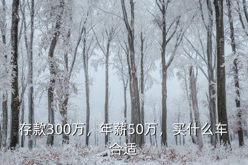 存款300萬，年薪50萬，買什么車合適