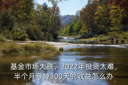 基金市場大跌，2022年投資太難，半個月虧掉300天的收益怎么辦