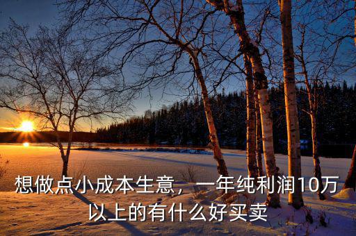 想做點(diǎn)小成本生意，一年純利潤(rùn)10萬(wàn)以上的有什么好買(mǎi)賣(mài)