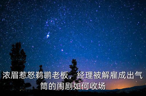 濃眉惹怒鵜鶘老板，經(jīng)理被解雇成出氣筒的鬧劇如何收?qǐng)? class=