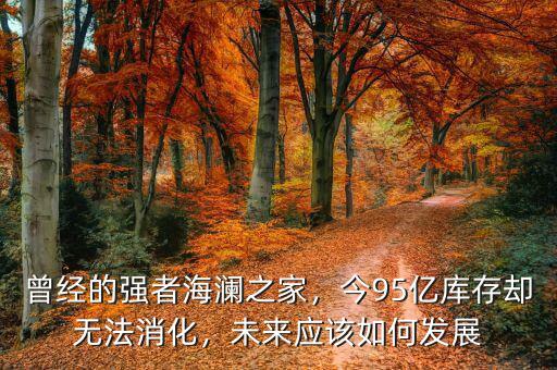 曾經(jīng)的強者海瀾之家，今95億庫存卻無法消化，未來應(yīng)該如何發(fā)展