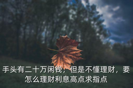 手頭有二十萬閑錢，但是不懂理財，要怎么理財利息高點求指點
