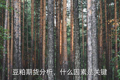 豆粕期貨分析，什么因素是關(guān)鍵