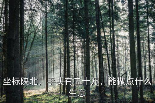 坐標(biāo)陜北，手頭有二十萬(wàn)，能做點(diǎn)什么生意