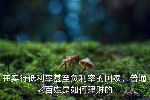 在實(shí)行低利率甚至負(fù)利率的國(guó)家，普通老百姓是如何理財(cái)?shù)? class=