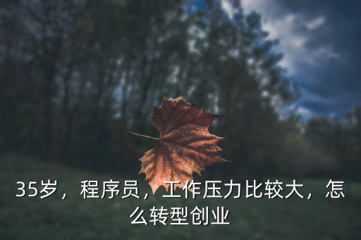35歲，程序員，工作壓力比較大，怎么轉(zhuǎn)型創(chuàng)業(yè)