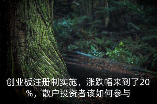 創(chuàng)業(yè)板注冊制實施，漲跌幅來到了20%，散戶投資者該如何參與