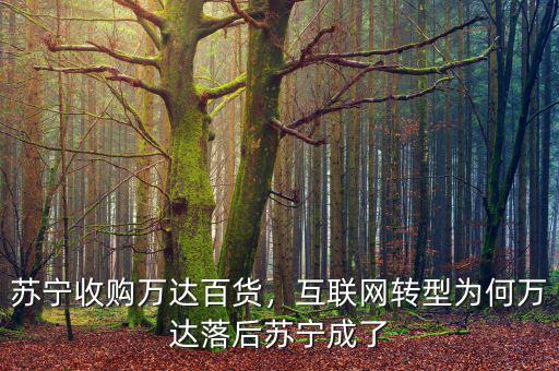 蘇寧收購萬達(dá)百貨，互聯(lián)網(wǎng)轉(zhuǎn)型為何萬達(dá)落后蘇寧成了