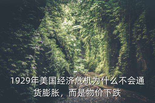 1929年美國經(jīng)濟(jì)危機(jī)為什么不會(huì)通貨膨脹，而是物價(jià)下跌