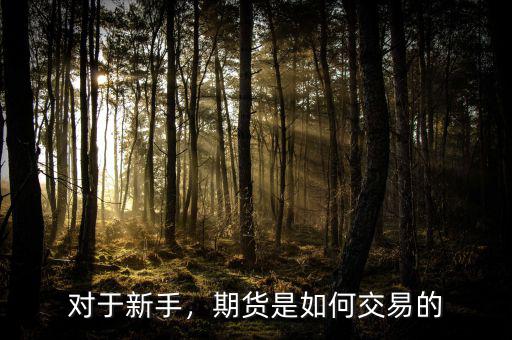 對(duì)于新手，期貨是如何交易的