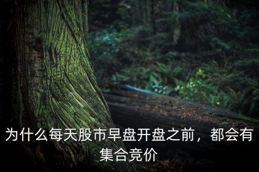為什么每天股市早盤開盤之前，都會(huì)有集合競(jìng)價(jià)