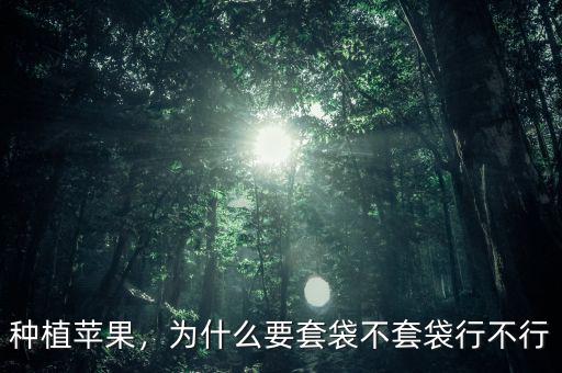 種植蘋(píng)果，為什么要套袋不套袋行不行