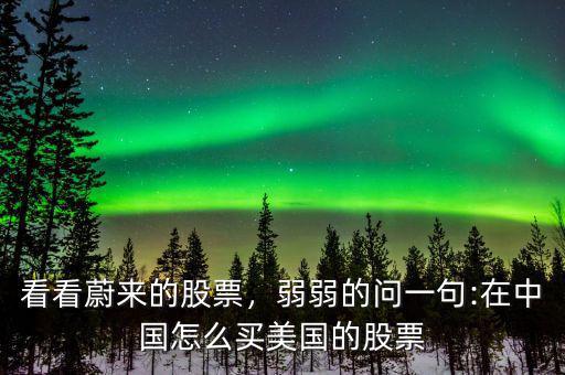 中國(guó)買(mǎi)美國(guó)股票多少,中國(guó)人能夠購(gòu)買(mǎi)美國(guó)股票嗎