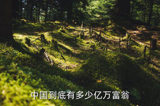 中國(guó)2014年有多少億萬富翁死亡,中國(guó)有多少億萬富翁