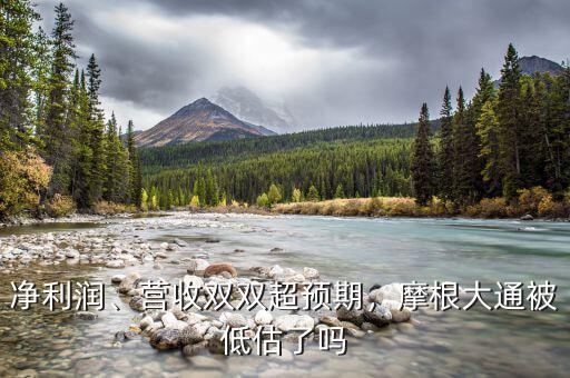 凈利潤(rùn)、營(yíng)收雙雙超預(yù)期，摩根大通被低估了嗎