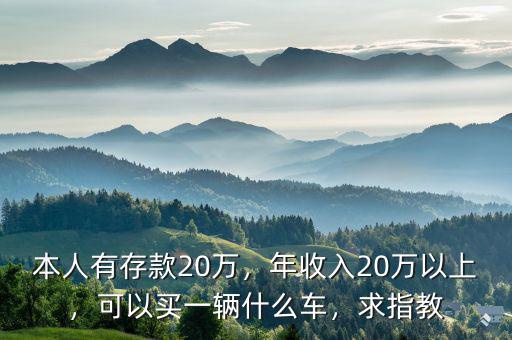 本人有存款20萬，年收入20萬以上，可以買一輛什么車，求指教
