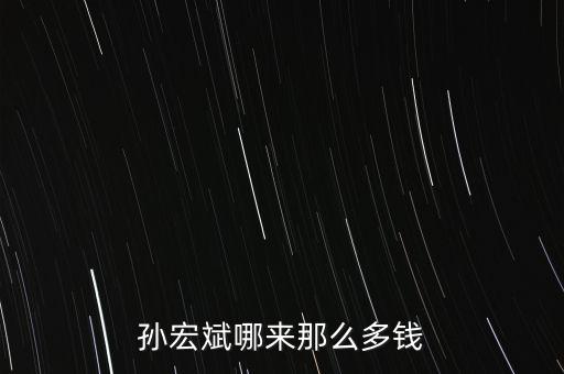 孫宏斌為什么入獄,孫宏斌哪來(lái)那么多錢(qián)