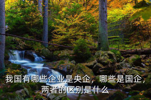 我國有哪些企業(yè)是央企，哪些是國企，兩者的區(qū)別是什么