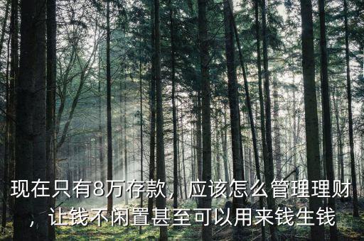 現(xiàn)在只有8萬(wàn)存款，應(yīng)該怎么管理理財(cái)，讓錢(qián)不閑置甚至可以用來(lái)錢(qián)生錢(qián)