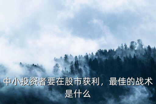 中小投資者要在股市獲利，最佳的戰(zhàn)術(shù)是什么