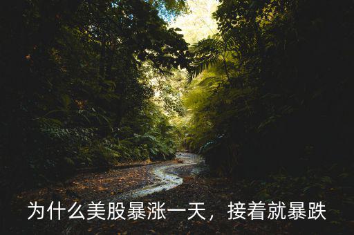 為什么美股暴漲一天，接著就暴跌