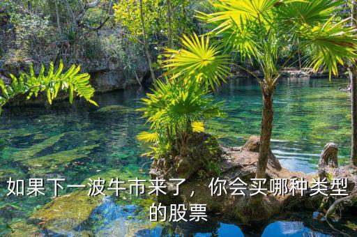 如果下一波牛市來了，你會買哪種類型的股票