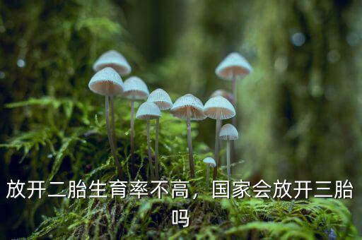 放開二胎生育率不高，國(guó)家會(huì)放開三胎嗎