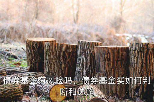 債券基金有風(fēng)險(xiǎn)嗎，債券基金買如何判斷和選購