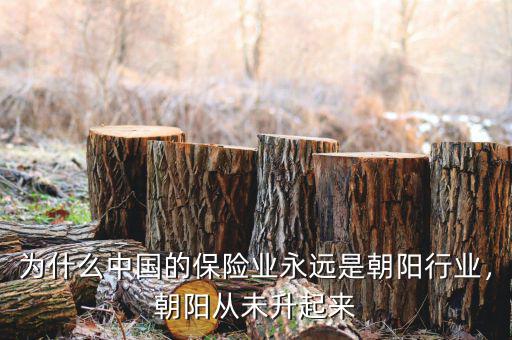 保險(xiǎn)行業(yè)為什么是朝陽行業(yè),你覺得保險(xiǎn)是朝陽行業(yè)嗎