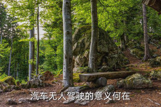 無(wú)人駕駛意味著什么,汽車無(wú)人駕駛的意義何在