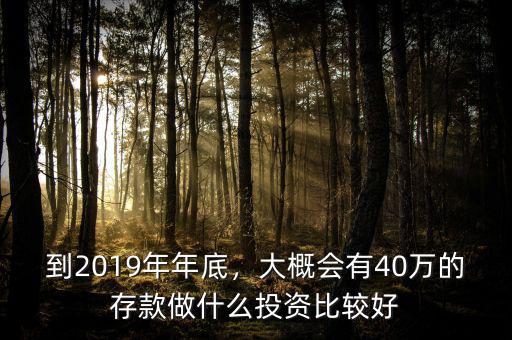 到2019年年底，大概會有40萬的存款做什么投資比較好