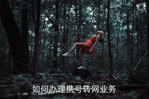 如何辦理攜號轉網(wǎng)業(yè)務