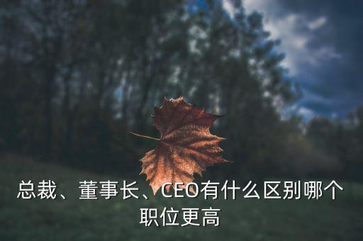 總裁、董事長、CEO有什么區(qū)別哪個職位更高