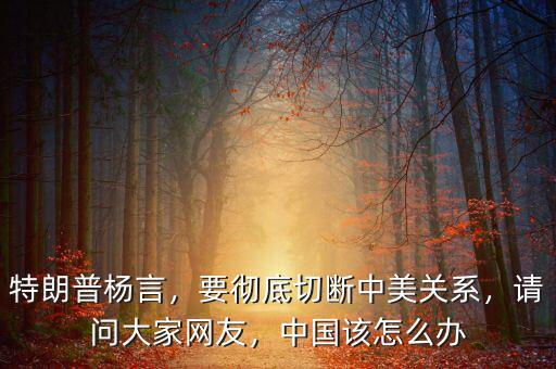 特朗普楊言，要徹底切斷中美關系，請問大家網友，中國該怎么辦