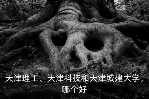 天津理工、天津科技和天津城建大學(xué)，哪個好