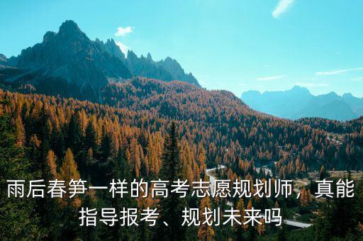 雨后春筍一樣的高考志愿規(guī)劃師，真能指導(dǎo)報(bào)考、規(guī)劃未來嗎