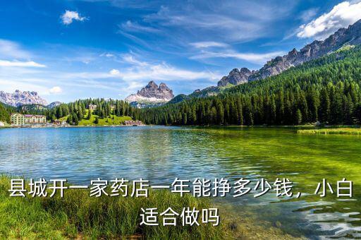 縣城開一家藥店一年能掙多少錢，小白適合做嗎