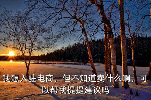 我想入駐電商，但不知道賣什么啊，可以幫我提提建議嗎