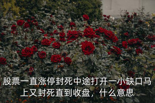 股票一直漲停封死中途打開(kāi)一小缺口馬上又封死直到收盤(pán)，什么意思