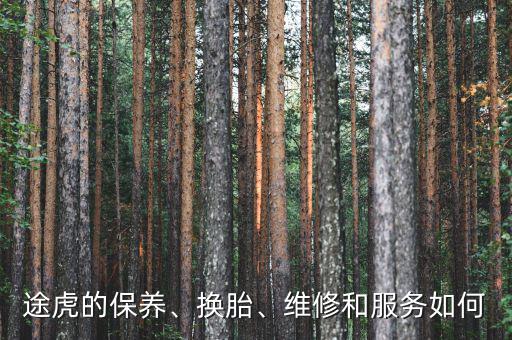 途虎的保養(yǎng)、換胎、維修和服務如何