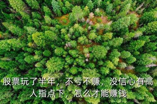 股票玩了半年，不虧不賺，沒信心有高人指點下，怎么才能賺錢