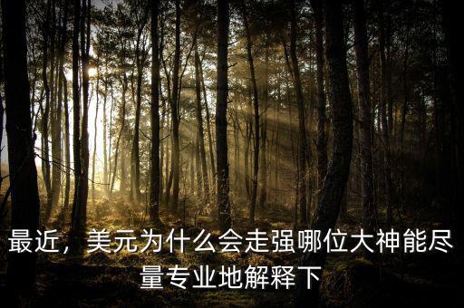 最近，美元為什么會(huì)走強(qiáng)哪位大神能盡量專業(yè)地解釋下