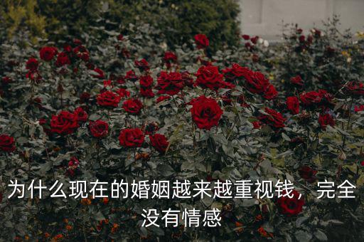 為什么現(xiàn)在的婚姻越來越重視錢，完全沒有情感