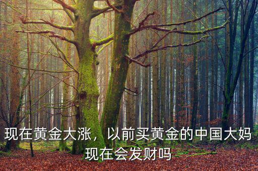 現(xiàn)在黃金大漲，以前買黃金的中國(guó)大媽現(xiàn)在會(huì)發(fā)財(cái)嗎