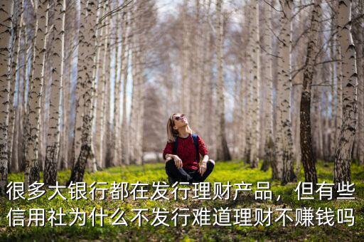很多大銀行都在發(fā)行理財產(chǎn)品，但有些信用社為什么不發(fā)行難道理財不賺錢嗎