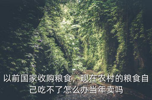 以前國家收購糧食，現(xiàn)在農(nóng)村的糧食自己吃不了怎么辦當年賣嗎