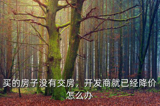 開(kāi)發(fā)商降價(jià)業(yè)主怎么辦,開(kāi)發(fā)商降價(jià)賣(mài)樓
